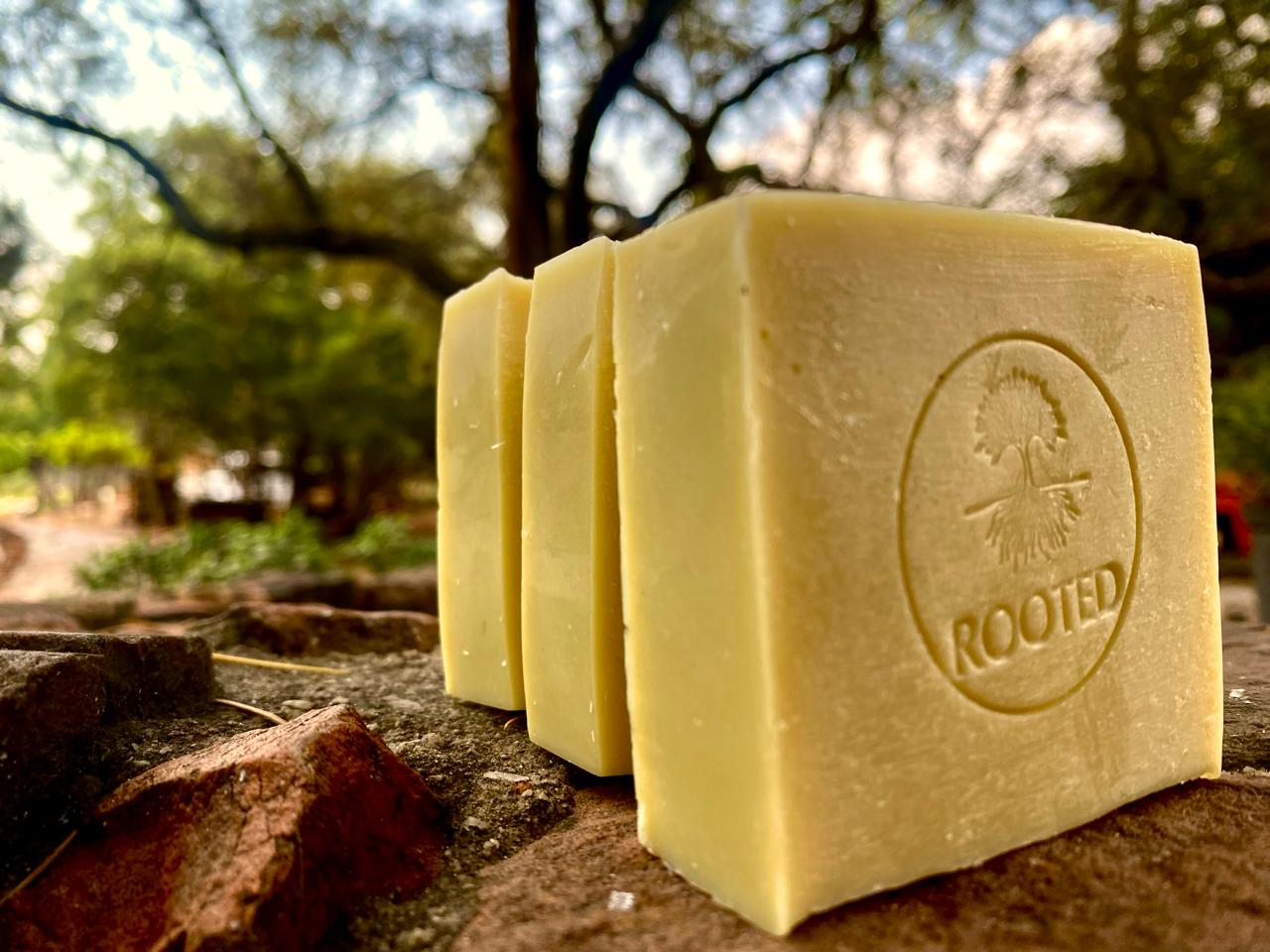 Rooted Shea-Olive Soap: a handmade unscented bar with the Rooted stamp